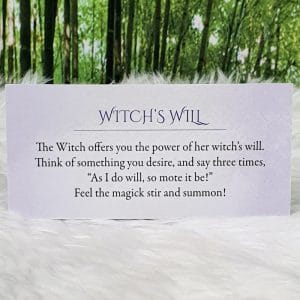 Witch's Will