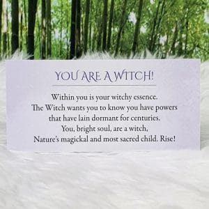 You are a Witch