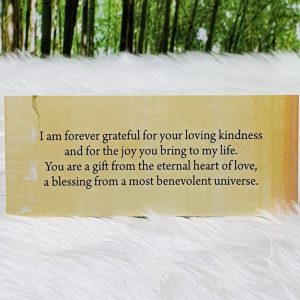 Soul Mate Reading Cards by Toni Carmine Salerno - I am forever grateful for your loving kindness