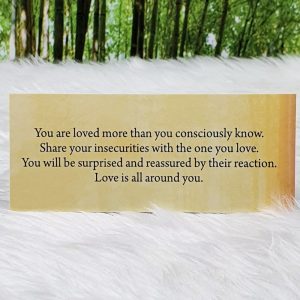 Soul Mate Reading Cards by Toni Carmine Salerno - You are loved more than you consciously know