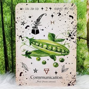 Green Witch Oracle by Cheralyn Darcey