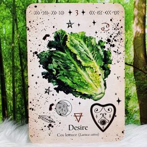 Green Witch Oracle by Cheralyn Darcey