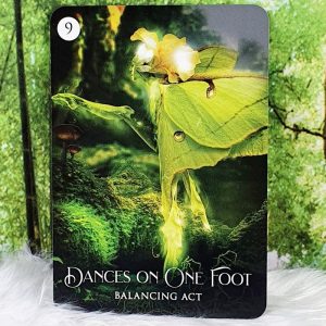 The Shaman's Dream Oracle Cards by Villoldo and Baron-Reid - Dances on one foot