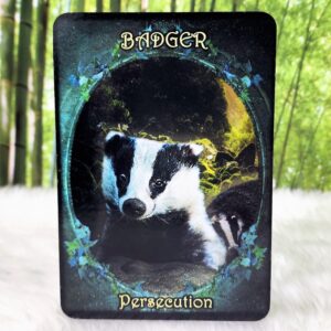 Witches' Familiars Oracle Cards by Barbara Meiklejohn-Free and Flavia Kate Peters - Badger - Persecution