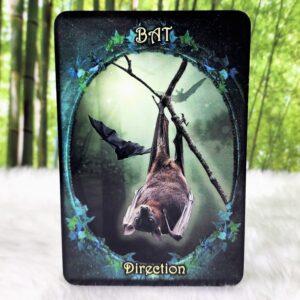 Witches' Familiars Oracle Cards by Barbara Meiklejohn-Free and Flavia Kate Peters - Bat - Direction