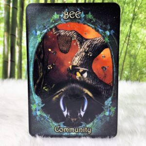 Witches' Familiars Oracle Cards by Barbara Meiklejohn-Free and Flavia Kate Peters - Bee - Community