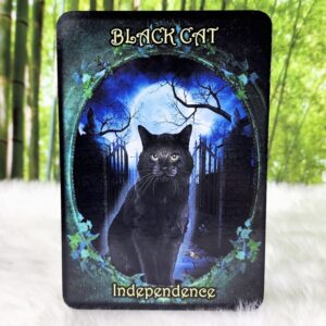 Witches' Familiars Oracle Cards by Barbara Meiklejohn-Free and Flavia Kate Peters - Black Cat - Independence