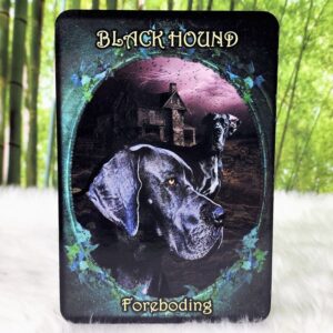 Black Hound - Foreboding