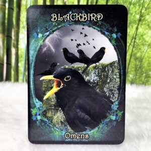 Blackbird - Omens