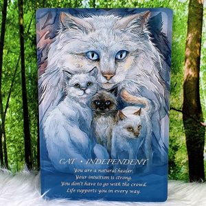 Spirit of the Animals Oracle by Jody Bergsma