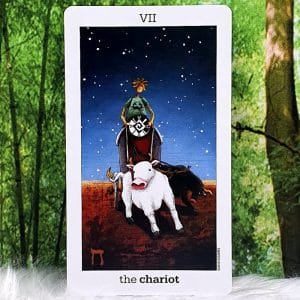 Sun and Moon Tarot by Vanessa Decort