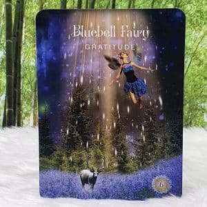 The Sacred Forest Oracle Cards by Denise Linn - Bluebell Fairy - Gratitude