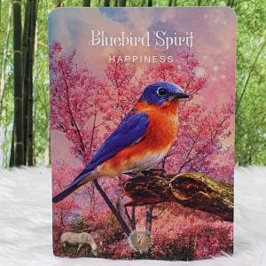 The Sacred Forest Oracle Cards by Denise Linn - Bluebird Spirit - Happiness