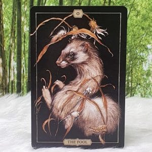 Hush Tarot by Jeremy Hush The Fool