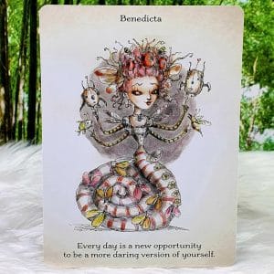 Pixiekins Daily Inspiration Deck by Paulina Cassidy Benedicta