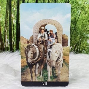 TV Series Tarot by Davide Corsi and Gero Giglio The Chariot