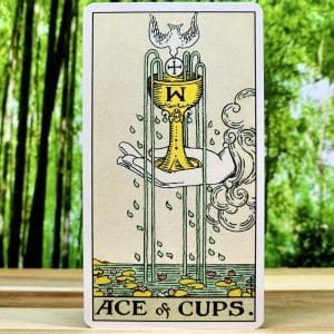 Ace of Cups