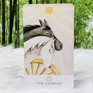 White Sage Tarot by Theresa Hutch The Chariot