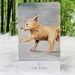 White Sage Tarot by Theresa Hutch The Fool