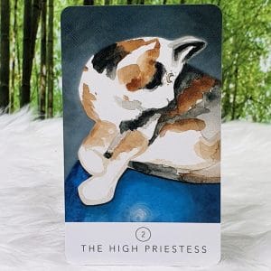 White Sage Tarot by Theresa Hutch The High Priestess