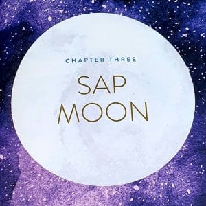 SAP MOON