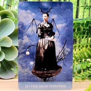 The Dreamkeepers Tarot Cards by Liz Huston - The High Priestess