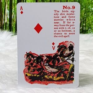 Reading Fortune Telling Cards by Fabio Vinago Ace of Diamonds