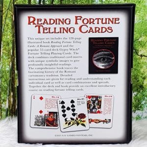 Reading Fortune Telling Cards by Fabio Vinago Back Cover