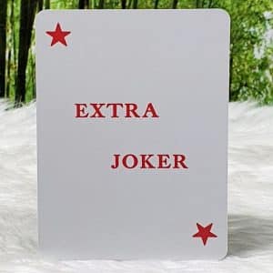 Reading Fortune Telling Cards by Fabio Vinago Extra Joker