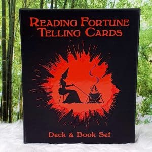 Reading Fortune Telling Cards by Fabio Vinago Front Cover