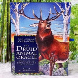 The Druid Animal Oracle Boxed Set by Philip and Stephanie Carr-Gomm Front Cover