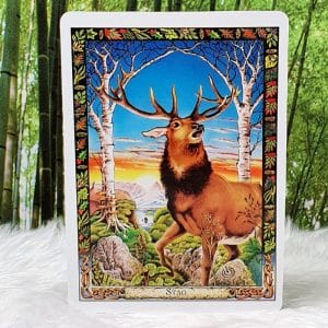 The Druid Animal Oracle Stag