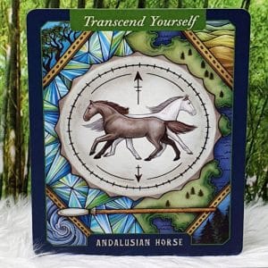 The Illustrated Bestiary Oracle Cards by Maia Toll Andalusian Horse-Transcend Yourself