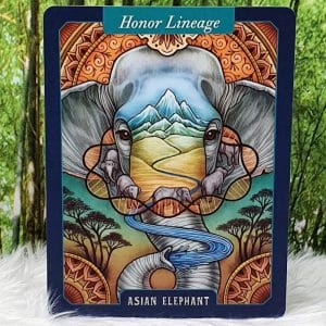 The Illustrated Bestiary Oracle Cards by Maia Toll Asian Elephant- Honor Lineage