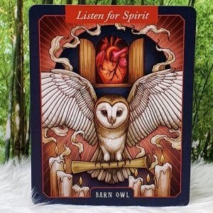 The Illustrated Bestiary Oracle Cards by Maia Toll Barn Owl-Listen for Spirit