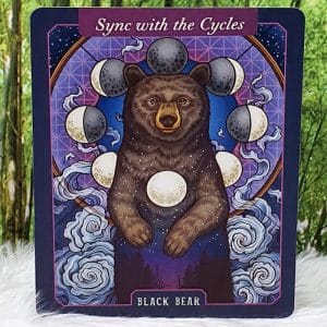 Black Bear-Sync with the Cycles