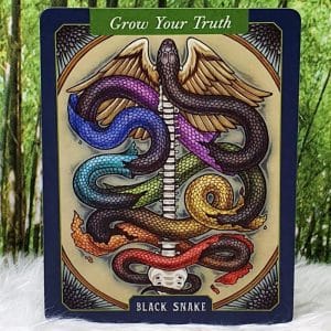 Black Snake-Grow Your Truth