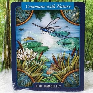 Blue-Damselfly-Commune with Nature