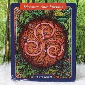 The Illustrated Bestiary Oracle Cards by Maia Toll Earthworm-Discover Your Purpose