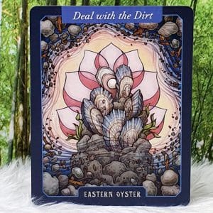 The Illustrated Bestiary Oracle Cards by Maia Toll Eastern Oyster-Deal with the Dirt