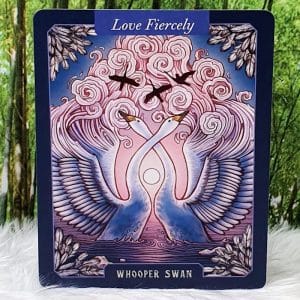 The Illustrated Bestiary Oracle Cards by Maia Toll Whooper Swan-Love Fiercely