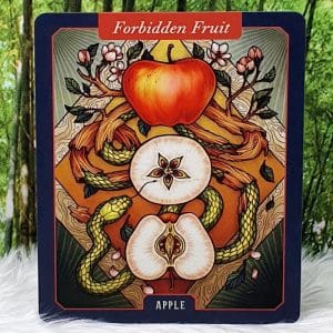 The Illustrated Herbiary Oracle Cards by Maia Toll Apple-Forbidden Fruit