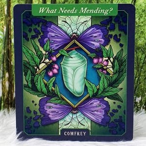 Comfrey-What needs Mending?