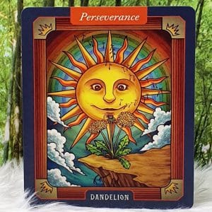 Dandelion-Perseverance