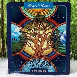 The Illustrated Herbiary Oracle Cards by Maia Toll Hawthorn-Hearts Home