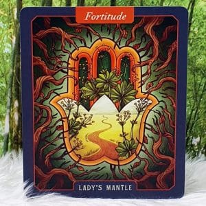 The Illustrated Herbiary Oracle Cards by Maia Toll Lady's Mantle-Fortitude