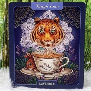 The Illustrated Herbiary Oracle Cards by Maia Toll Lavender-Tough Love