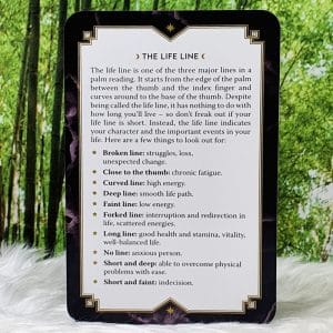 The Magic Art of Fortune Telling Oracle By Elsie Wild The Life Line