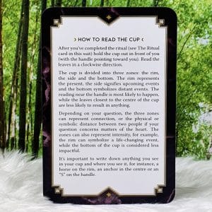 The Magic Art of Fortune Telling by Elsie Wild How to Read the Cup