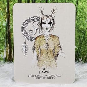 Celtic Spirit oracle Cards by Nicola McIntosh Fawn